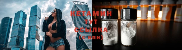 прущий лед Бородино