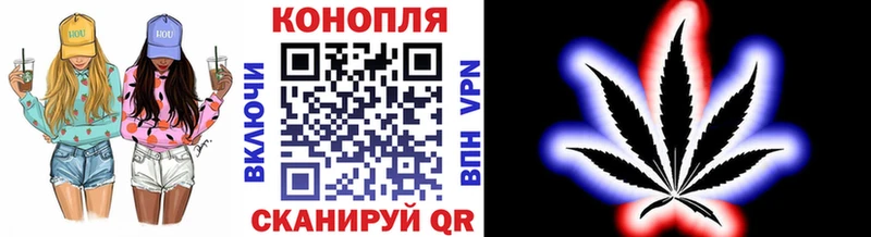 Конопля план  Миньяр 